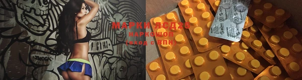 ALPHA PVP Богданович