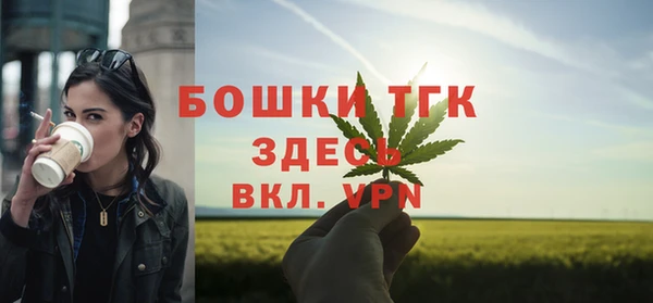 СК Богородск