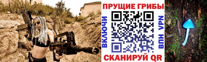 маркетплейс какой сайт купить сайты Высоцк Галлюциногенные грибы мицелий
